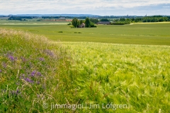 Fält från Hageby Höga mot Vadstena Fält från Hageby Höga mot Vadstena