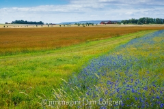 Fält från Örberga mot Luckerstad Fält från Örberga mot Luckerstad