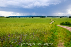 Fält från Örberga mot Säby och Omberg Fält från Örberga mot Säby och Omberg
