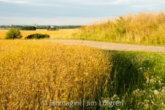 Fält från Stubbet öster om Örberga mot Vadstena Fält från Stubbet öster om Örberga mot Vadstena