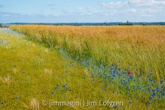 Fält med diagonal  vid Örberga mot Vadstena