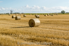 Fält med halmbalar vid Kastad