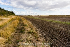 Fält med plöjd åker vid Kastad kulle