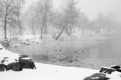Winter takes lake Vättern