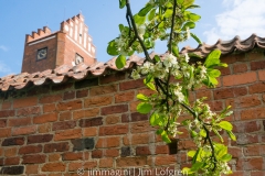 Vadstena Munkträdgården | 2016/2017