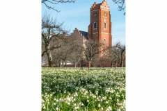 Vadstena Rödtornet och klosteriljor | 2017